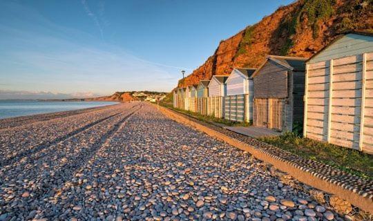 The Lawns B & B Budleigh Salterton Eksteriør billede